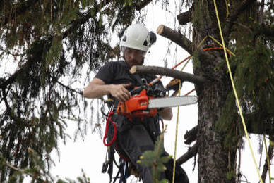  Se chauffer au bois tout en préservant la planète