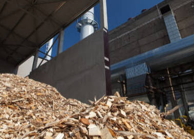 La meilleure prestation de broyage de bois pour les coopératives forestières