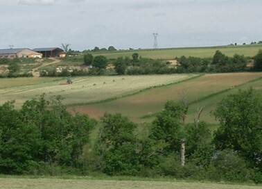 division d'une parcelle en 3 parcelles de 80m de large, chaque parcelle étant constitué d'une ligne de Bois energie.jpg