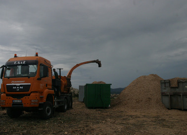 Nos engagements dans la plantation de bois Energie à Flavin